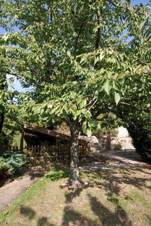 Le Petit Chateau - Tiffauges Proche Puy Dufou Eksteriør billede